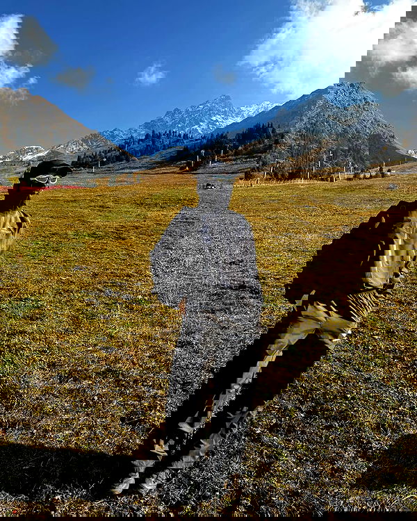 annfigma annfigma archive image