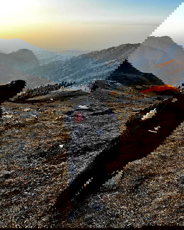 annfigma annfigma archive image