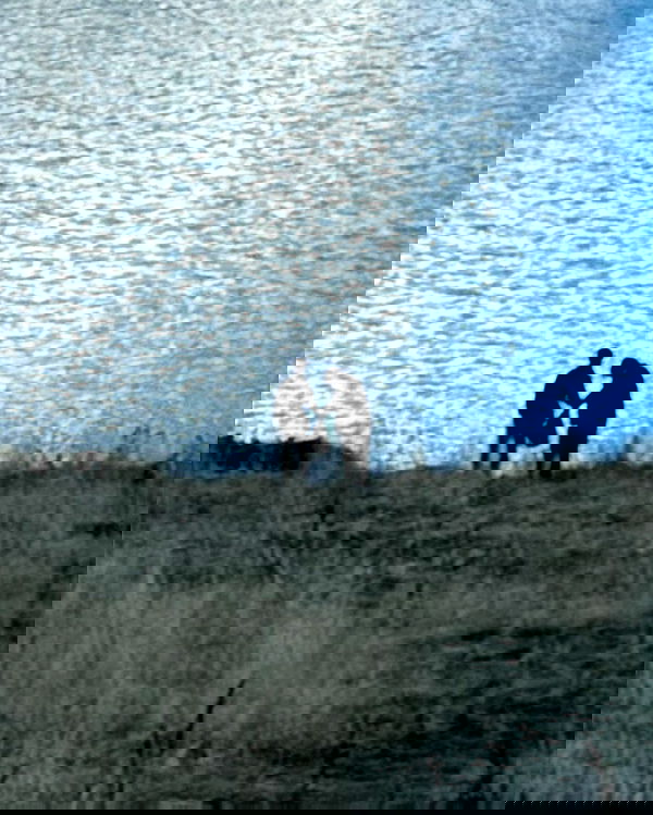 annfigma annfigma archive image