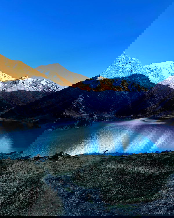 annfigma annfigma archive image