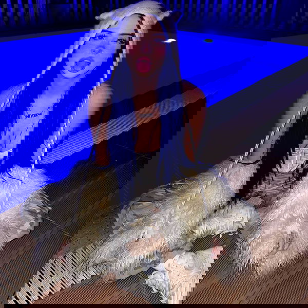 annfigma annfigma archive image