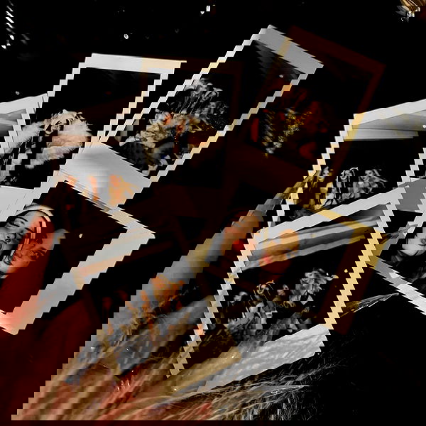 annfigma annfigma archive image