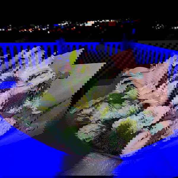 annfigma annfigma archive image