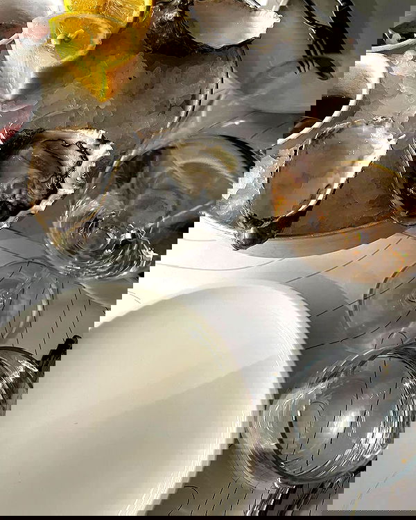 annfigma annfigma archive image