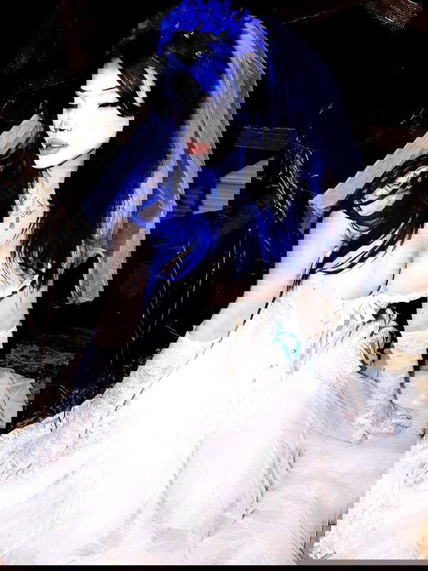 annfigmax image ~ Altpins