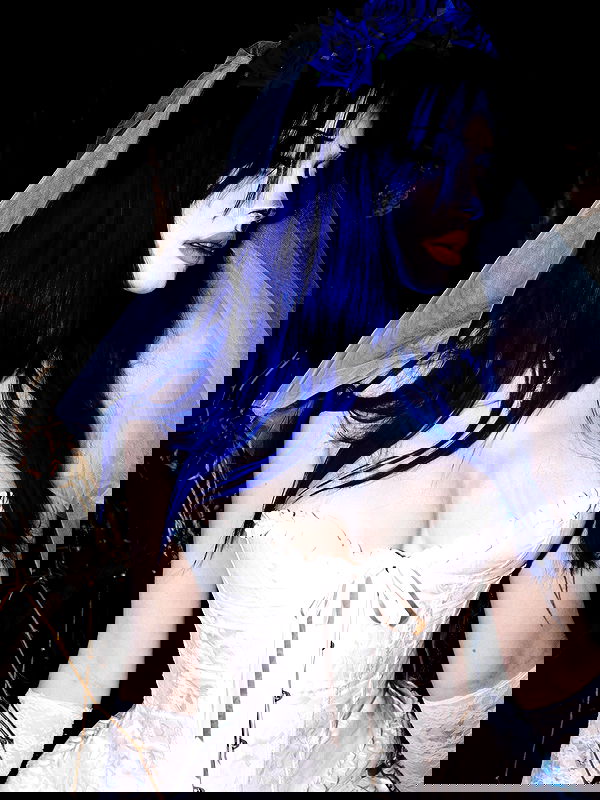 annfigmax image ~ Altpins