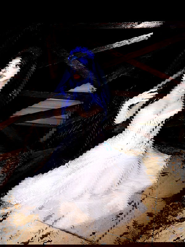 annfigmax image ~ Altpins