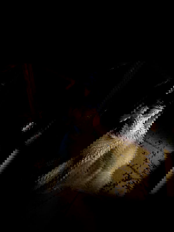 annfigmax image ~ Altpins