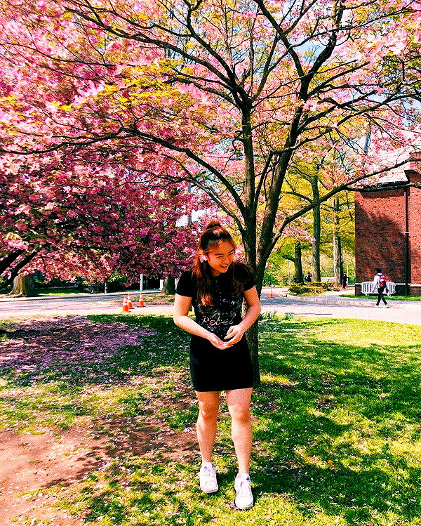 ar1enelee instagram image archive image