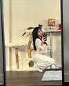 ar1enelee Altpins Profile Picture