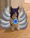 ari_n3ko Altpins Profile Picture