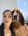 arianagrande Altpins Profile Picture