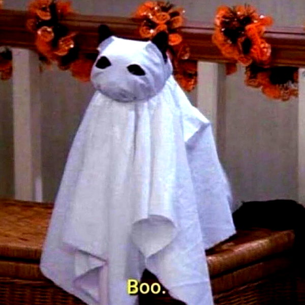 arianagrande instagram image archive image