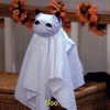 arianagrande Altpins Profile Picture