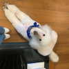 arianagrande Altpins Profile Picture