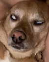 arianagrande Altpins Profile Picture