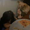 arianagrande Altpins Profile Picture