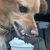 arianagrande Altpins Profile Picture