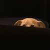 arianagrande Altpins Profile Picture