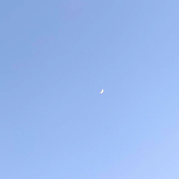 arianagrande instagram image archive image