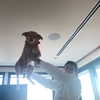 arianagrande Altpins Profile Picture