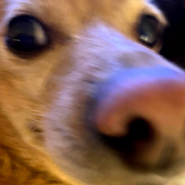 arianagrande instagram image archive image