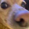 arianagrande Altpins Profile Picture