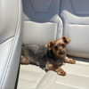 arianagrande Altpins Profile Picture