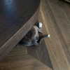 arianagrande Altpins Profile Picture
