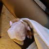arianagrande Altpins Profile Picture