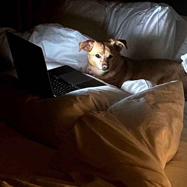 arianagrande instagram image archive image
