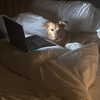 arianagrande Altpins Profile Picture