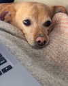 arianagrande Altpins Profile Picture