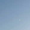 arianagrande Altpins Profile Picture