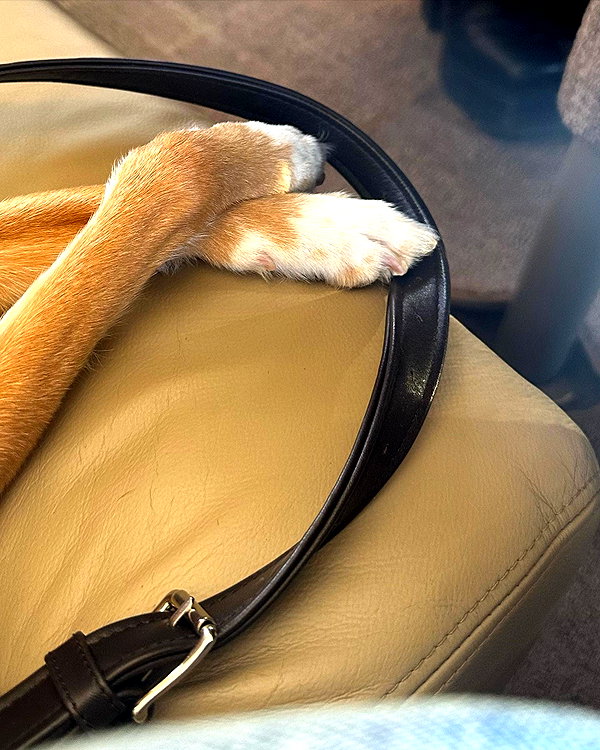 arianagrande instagram image archive image