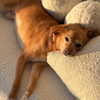 arianagrande Altpins Profile Picture