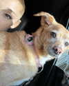 arianagrande Altpins Profile Picture