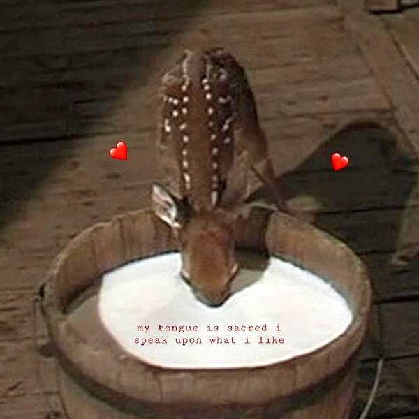 arianagrande instagram image archive image