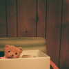 arianagrande Altpins Profile Picture