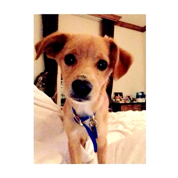 arianagrande instagram image archive image