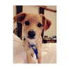arianagrande Altpins Profile Picture