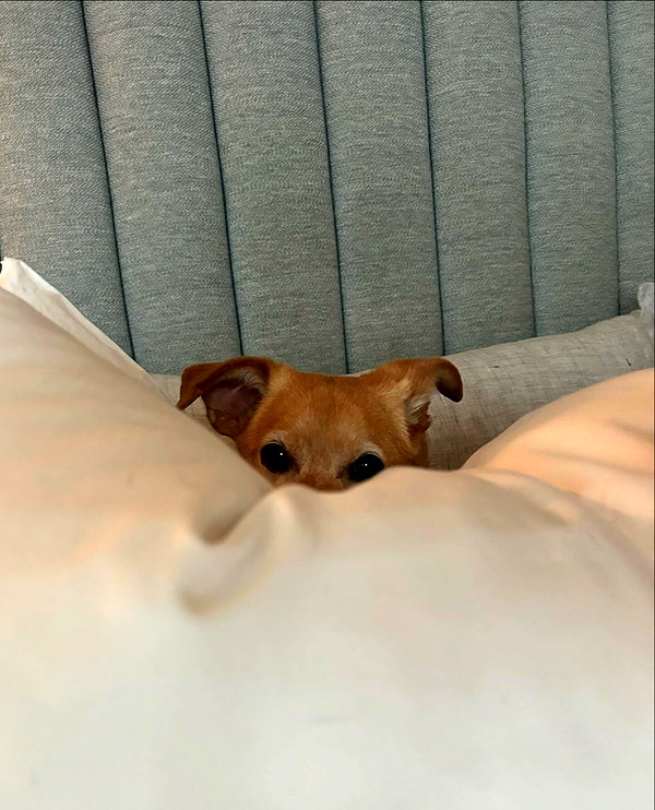 arianagrande instagram image archive image