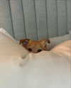 arianagrande Altpins Profile Picture