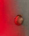 arianagrande Altpins Profile Picture