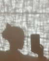 arianagrande Altpins Profile Picture