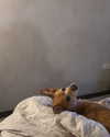 arianagrande Altpins Profile Picture