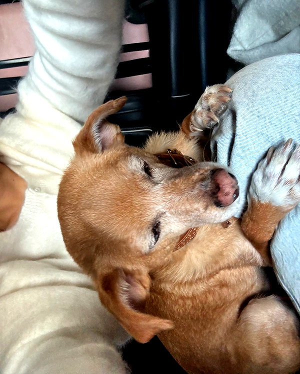 arianagrande instagram image archive image