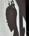 arianagrande Altpins Profile Picture