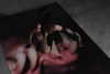 arigins________ Altpins Profile Picture