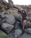 armanitraylor Altpins Profile Picture